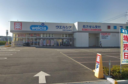 ウエルシア松原天美東店の画像1