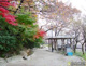 江戸川公園の画像
