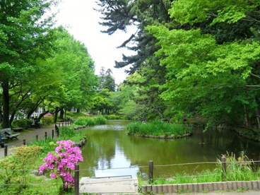 宝来公園の画像1