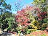 田園調布せせらぎ公園