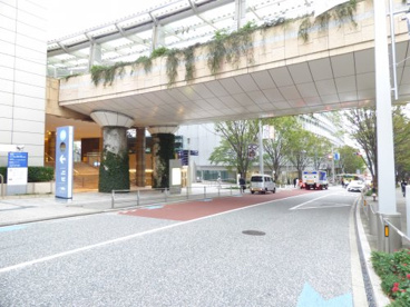 けやき坂通りの画像1