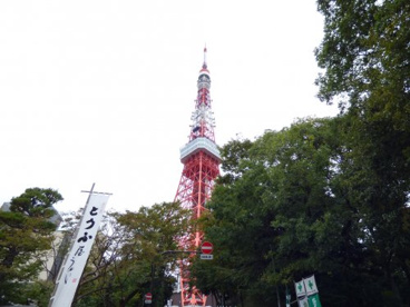 東京タワーの画像1