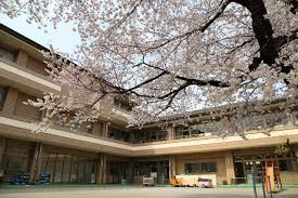 大谷口保育園の画像1
