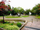 世田谷区立小泉公園