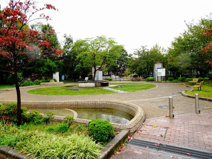 世田谷区立小泉公園