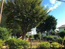 ふじみ野市/水天宮公園