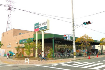 SuperOOG(スーパーオオジ) 伊丹店の画像1