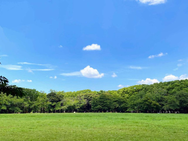 代々木公園の画像1
