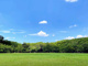 代々木公園の画像