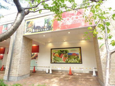 PEACOCK STORE代官山店の画像1