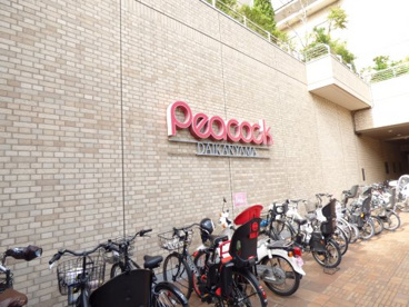 PEACOCK STORE代官山店の画像2