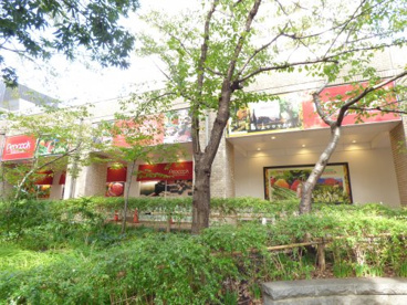 PEACOCK STORE代官山店の画像3