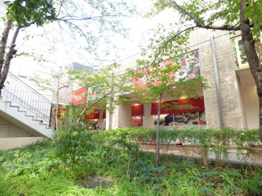 PEACOCK STORE代官山店の画像4