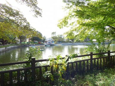 碑文谷公園の画像1