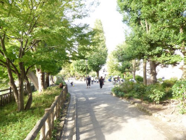 碑文谷公園の画像2