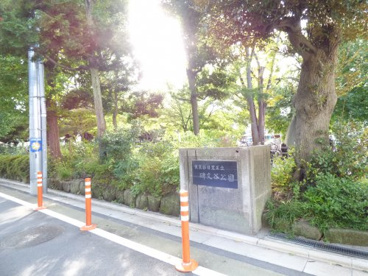 碑文谷公園の画像3