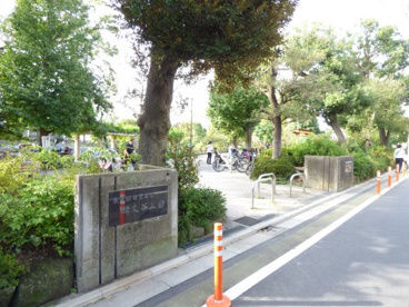 碑文谷公園の画像4