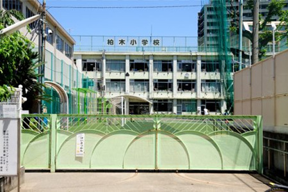 新宿区立柏木小学校の画像1