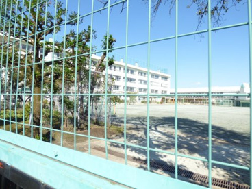 目黒区立不動小学校の画像5