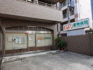 吹田どんぐり動物病院の画像1