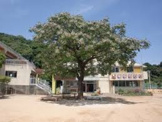 徳島市立津田幼稚園