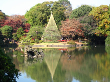 公園 都立六義園
