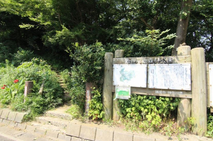 散在ガ池森林公園情報ページ 藤沢市の戸建て情報は株式会社湘南エステート