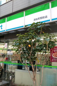 ファミリーマート 浜松町駅前店の画像1