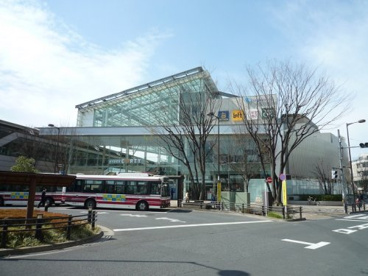 Odakyu OX(小田急OX) 経堂コルティ店の画像2