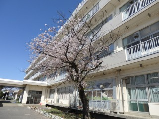 吉川市立北谷小学校の画像1