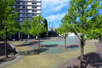 妙正寺川公園の画像1