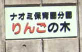 ナオミ保育園分園りんごの木