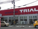 ディスカウントストアトライアル 寝屋川店