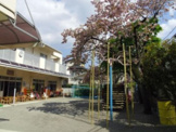 青い空保育園