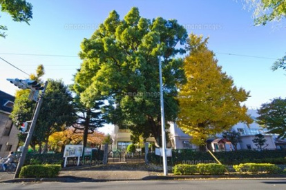 練馬区立開進第一小学校の画像1