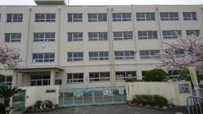 高槻市立柳川小学校の画像1