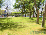 中江公園