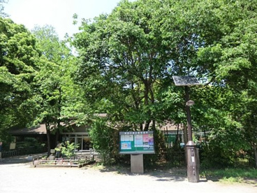 林試の森公園の画像1