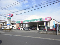 ドラッグセイムス 田名店