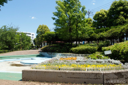 田無市民公園の画像1
