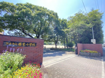 熊本市立若葉小学校の画像1