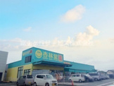 杏林堂ドラッグストア 掛川下垂木店