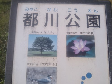 都川公園の画像2