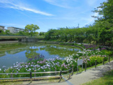 白鷺公園