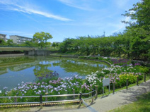 白鷺公園