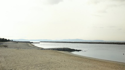 西岡海浜公園の画像1
