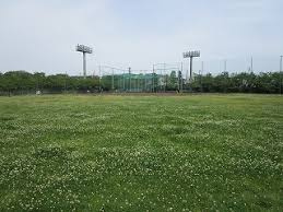 多摩川緑地の画像1
