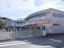 リリー幼稚園