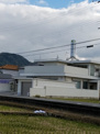 野村医院