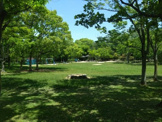 藤沢台公園